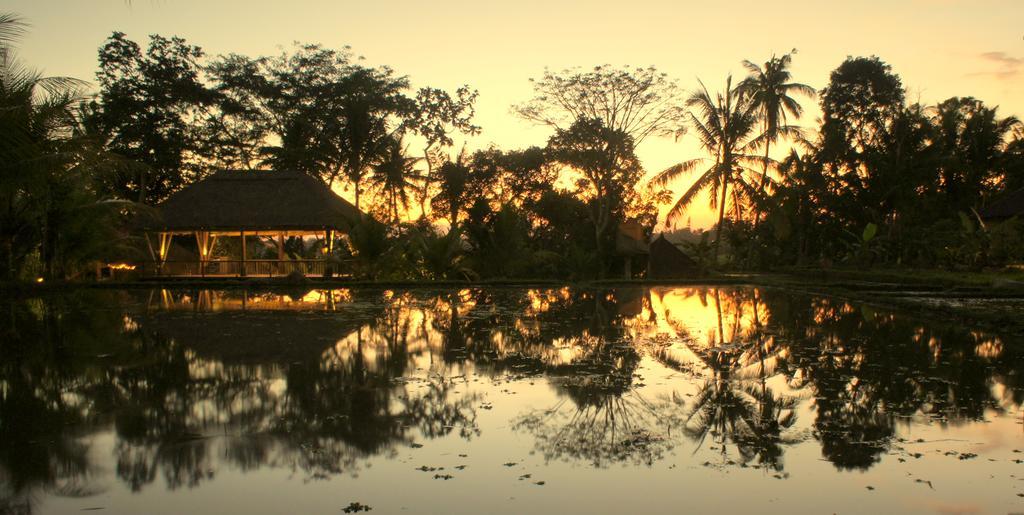 Prashanti Bali Ubud Dış mekan fotoğraf